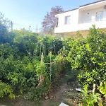 Stone House Hostel Elbasan